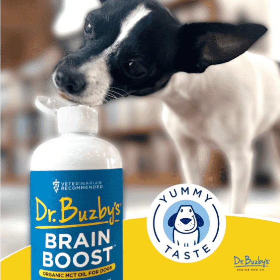 Dr. Buzby’s Brain Boost™ Organic MCT Oil for Dogs - Image 4