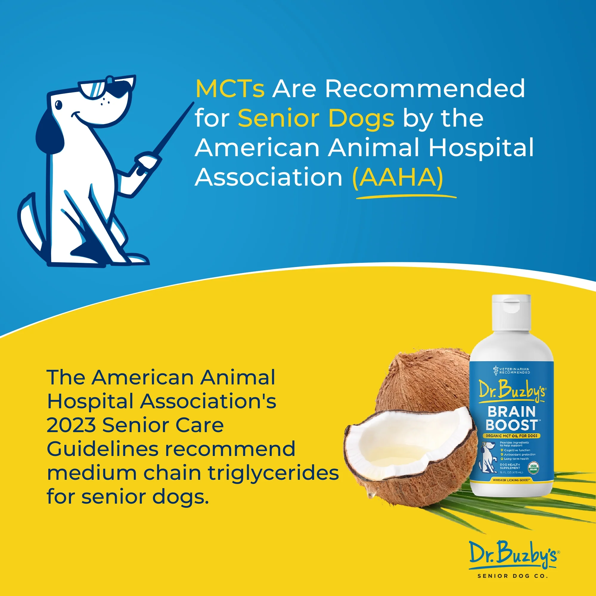 Dr. Buzby’s Brain Boost™ Organic MCT Oil for Dogs - Image 6