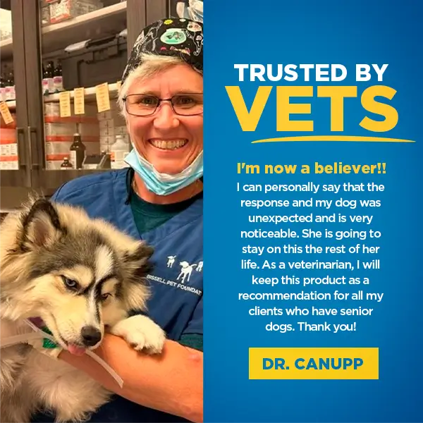 Dr. Buzby’s Brain Boost™ Organic MCT Oil for Dogs - Image 8