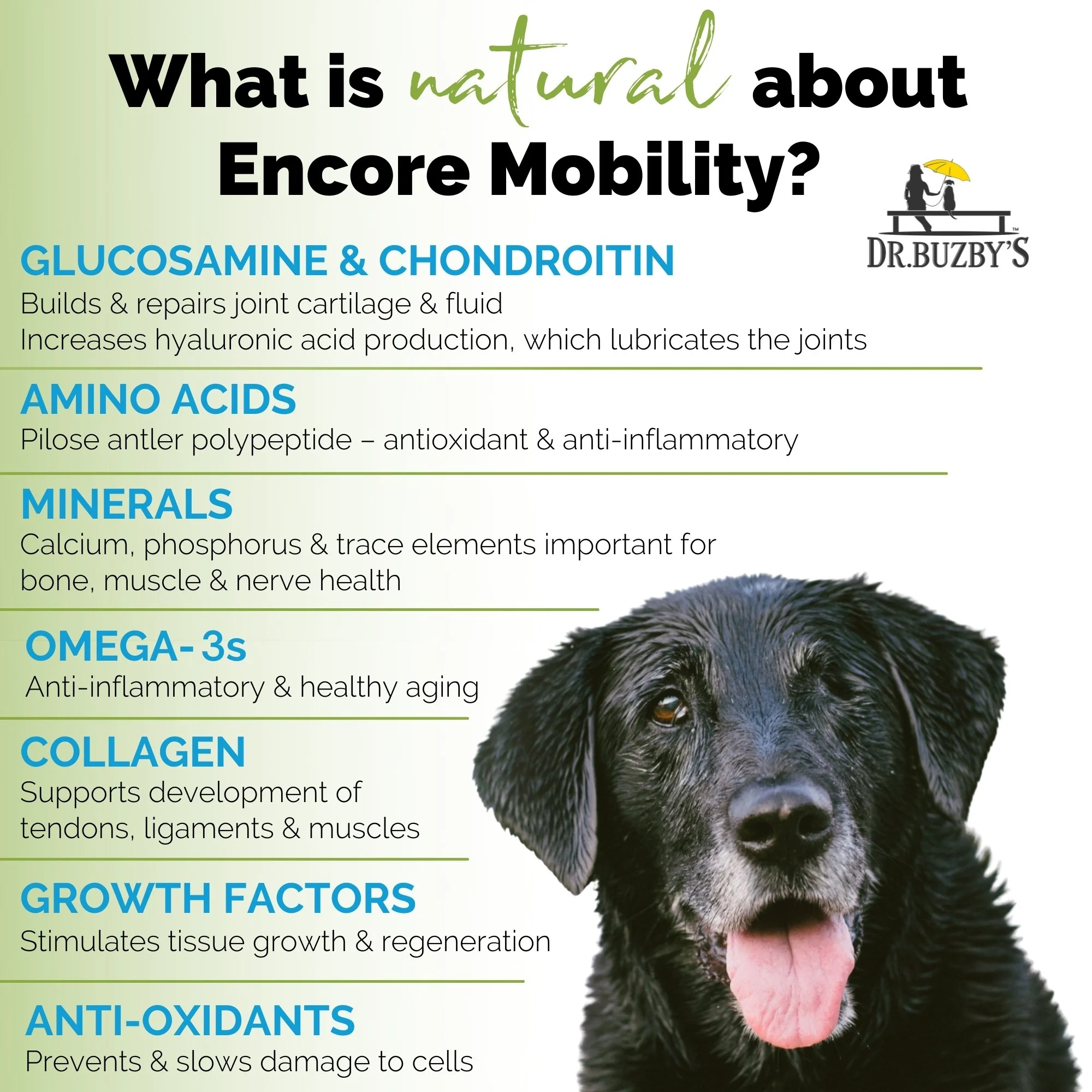 Dr. Buzby’s Encore Mobility™ Flexible Autoship - Image 5