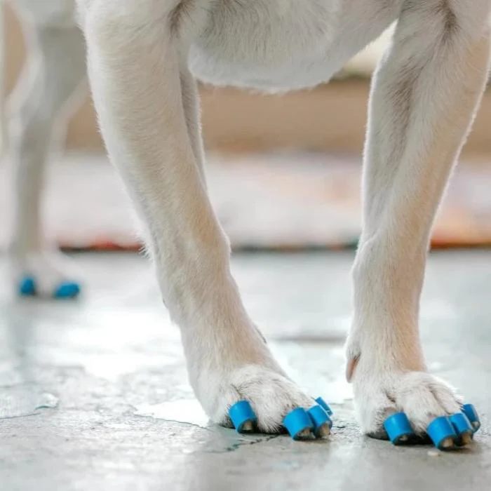 Dr. Buzby's ToeGrips® Flexible Autoship - Image 5