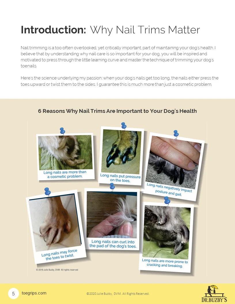 Ebook: How to Trim Your Dog’s Nails Without Blood, Sweat, or Tears - Image 6
