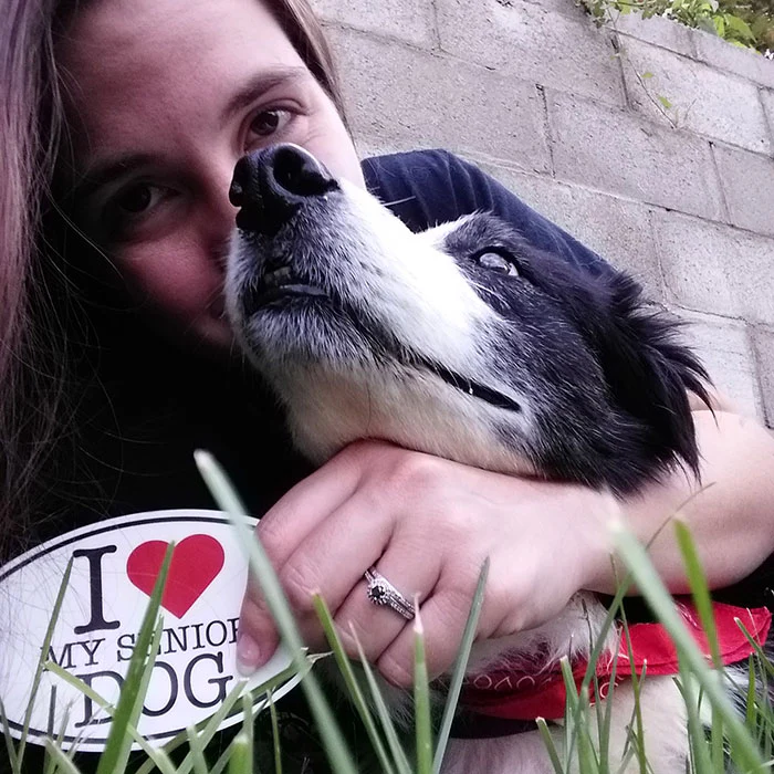 "I ❤️ My Senior Dog" Vinyl Sticker - Image 4