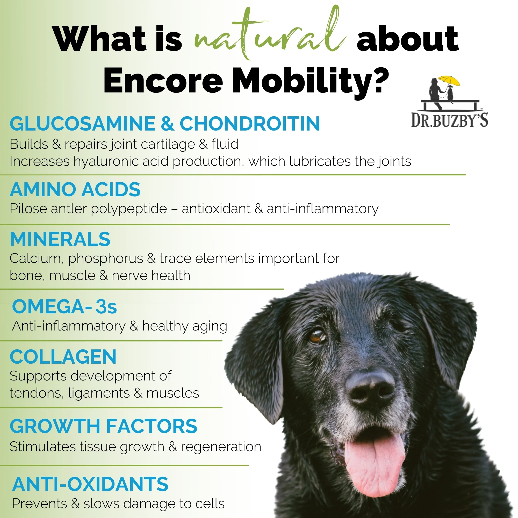 Dr. Buzby’s Encore Mobility™ Hip & Joint Supplement for Senior Dogs - Image 4