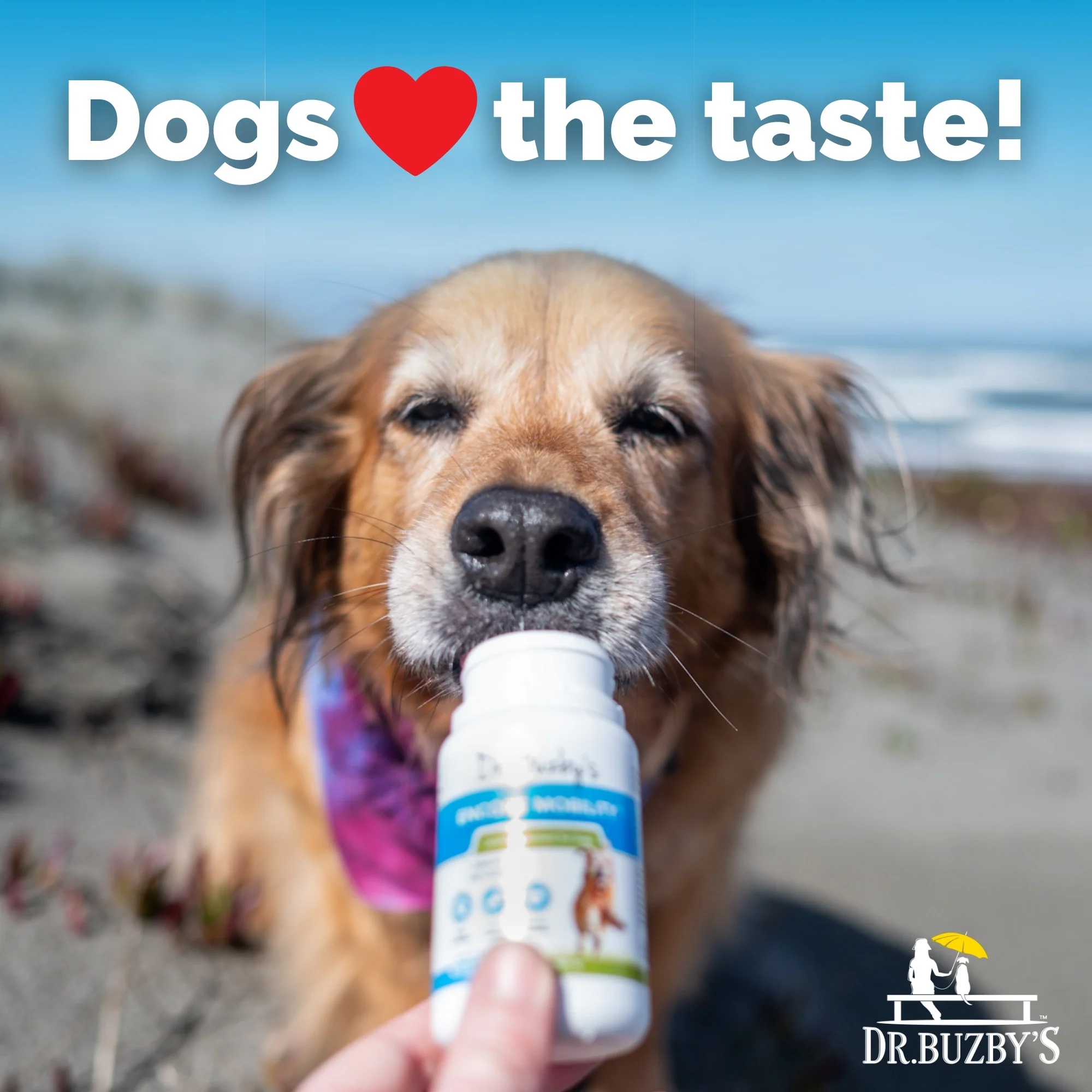Dr. Buzby’s Encore Mobility™ Hip & Joint Supplement for Senior Dogs - Image 6