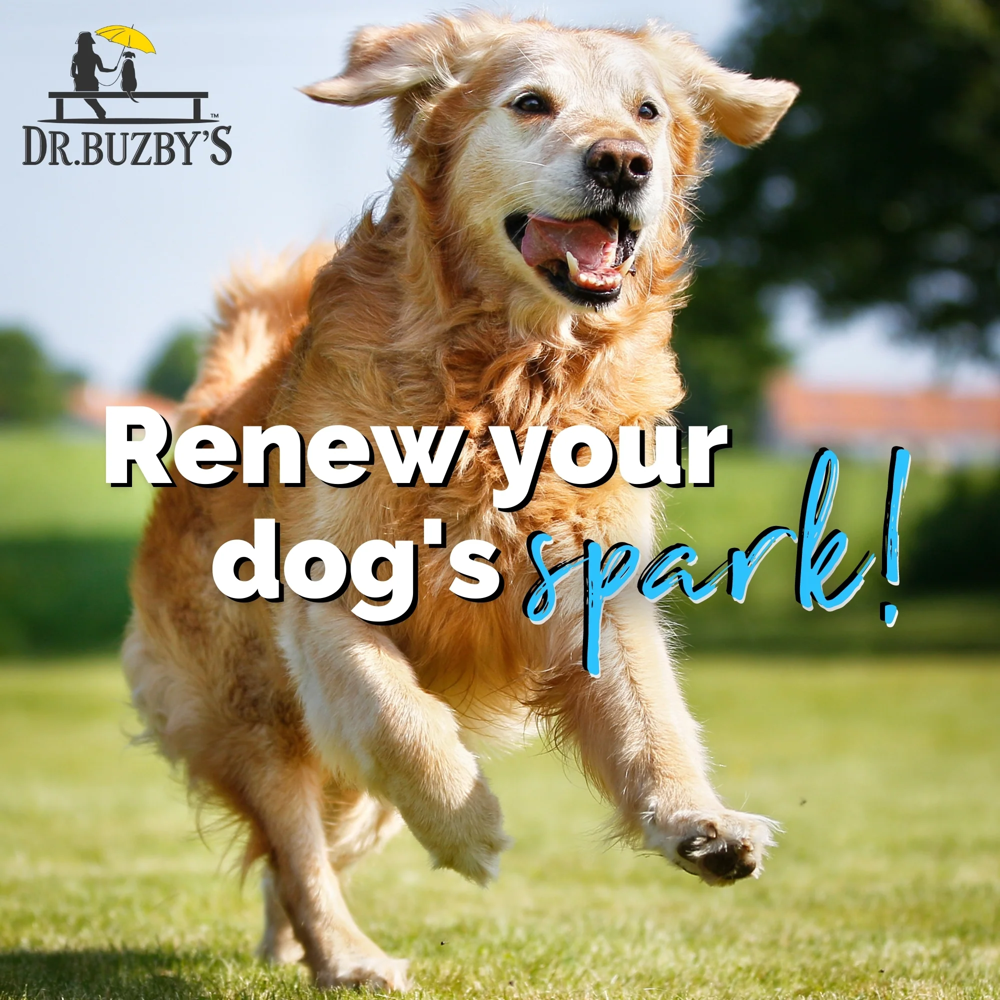 Dr. Buzby’s Encore Mobility™ Hip & Joint Supplement for Senior Dogs - Image 9