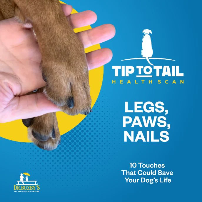Dr. Buzby's Master Class: The Tip-to-Tail Health Scan™ - Image 3