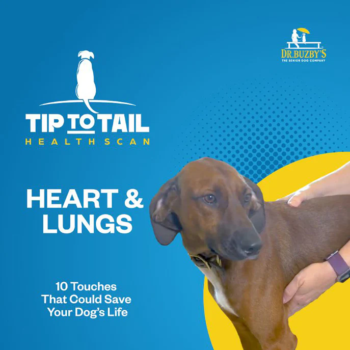 Dr. Buzby's Master Class: The Tip-to-Tail Health Scan™ - Image 5