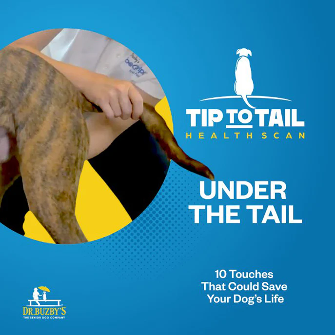 Dr. Buzby's Master Class: The Tip-to-Tail Health Scan™ - Image 6