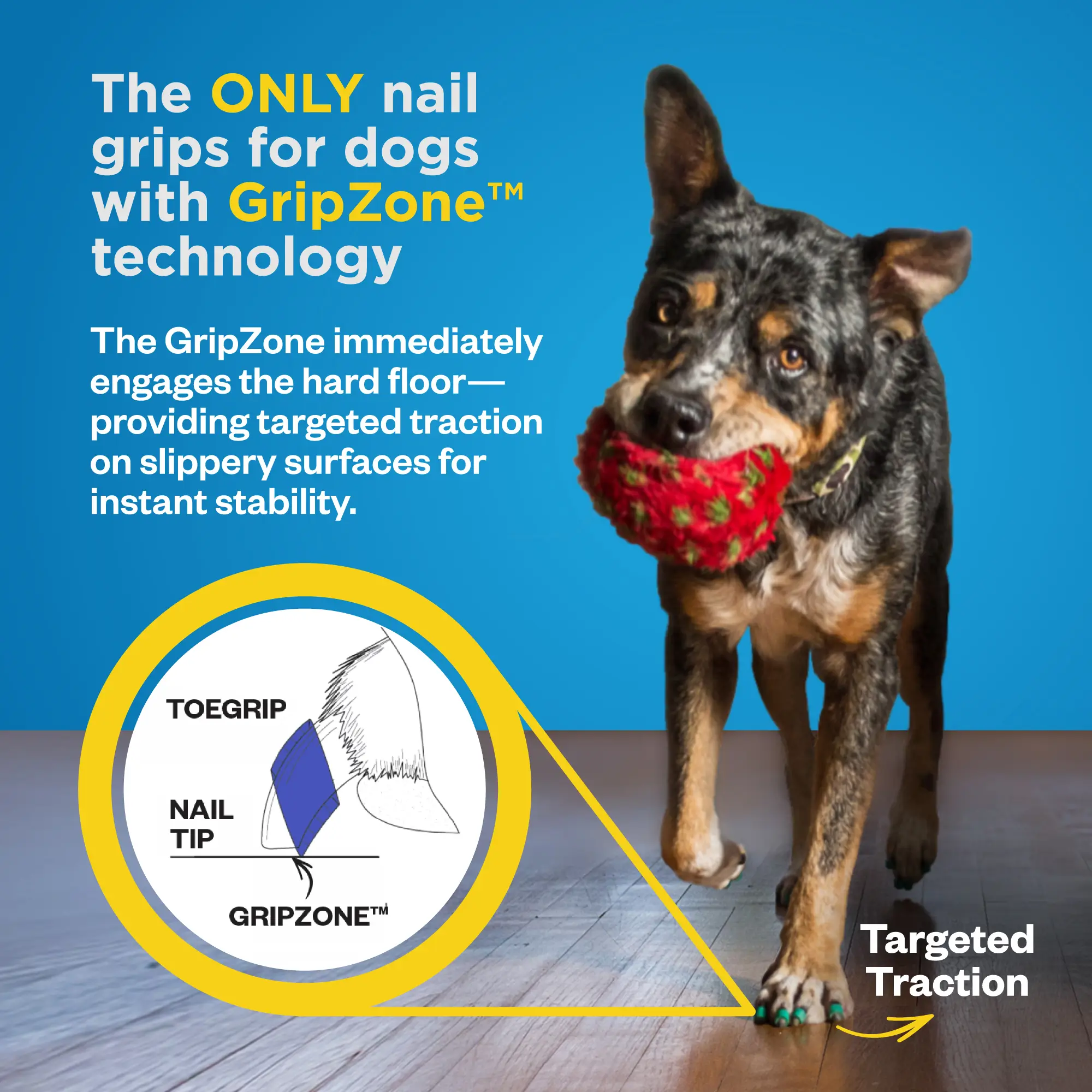 Dr. Buzby's ToeGrips® for Dogs - Image 4