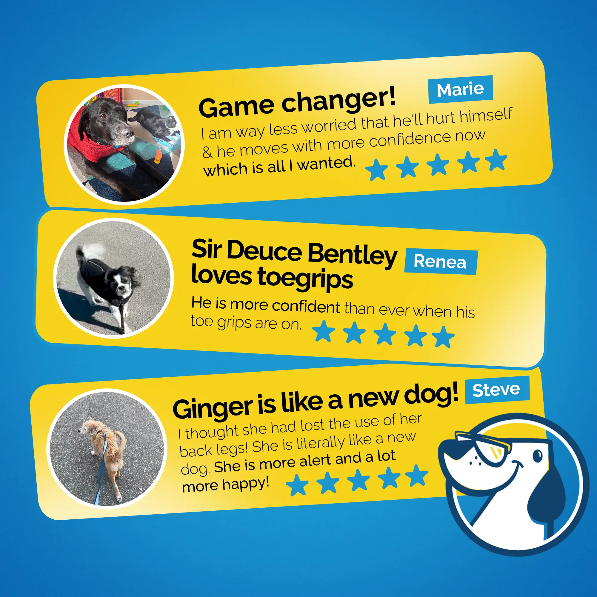 Dr. Buzby's ToeGrips® for Dogs - Image 12